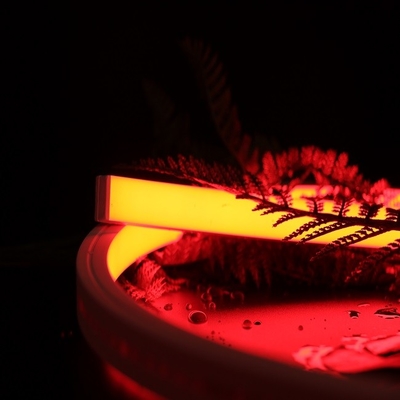 DC24V IP67 Silicone LED Neon Light RGBW Color 4 In 1 SMD5050 Vertical Bending