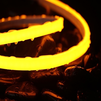 IP67 DC 24V  UV consistent Polyurethane coating RGB LED strip for indoor&outdoors