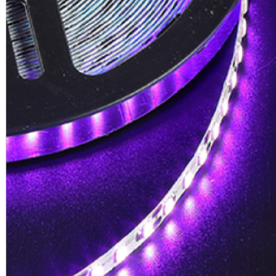 CCIP Purple UVA UVC LED Strip 12V / 24V IP20 / IP65 Waterproof 5050 SMD 20m/Roll