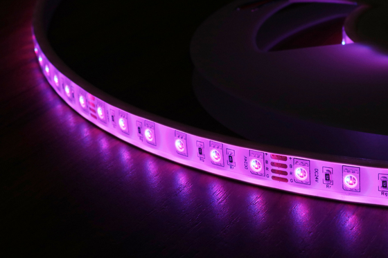 5050 IP68 RGB Color Changing LED Strip Lights For Outdoors And Marine Lighting