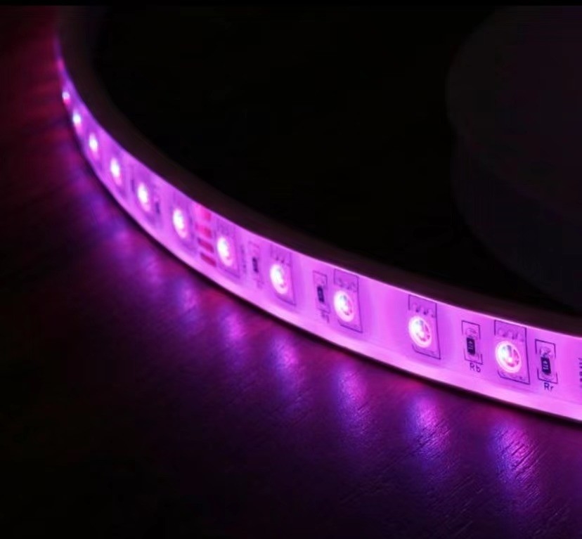 14.4W/M IP68 RGB Color Changing LED Strip Lights For Marine Lighting