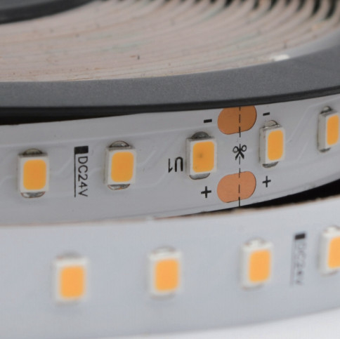 Constant Current 10mm LED Strip Tape Light SMD2835 DC24V RA90 6500K