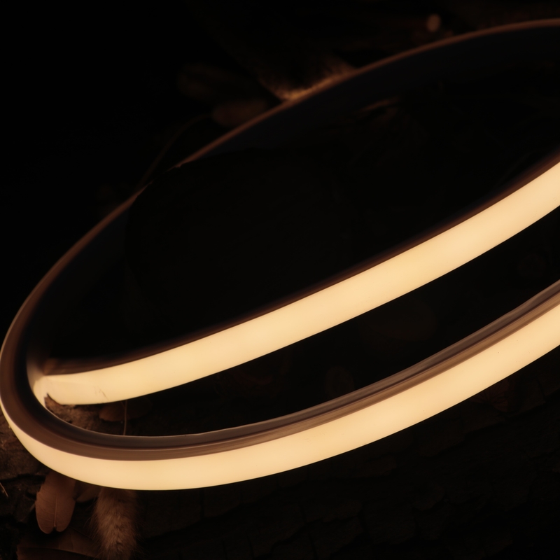 ERP 24Vdc Silicone Neon Tape Light 160leds 3000K 110lm/W IP67