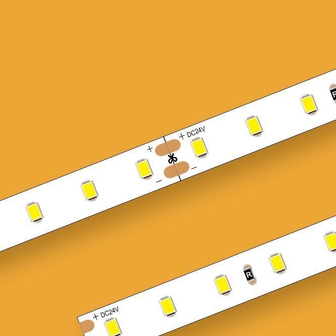 ERP LED Strip DC24V SMD2835 10mm LED Strip 6500K 80LEDs/M Indoors